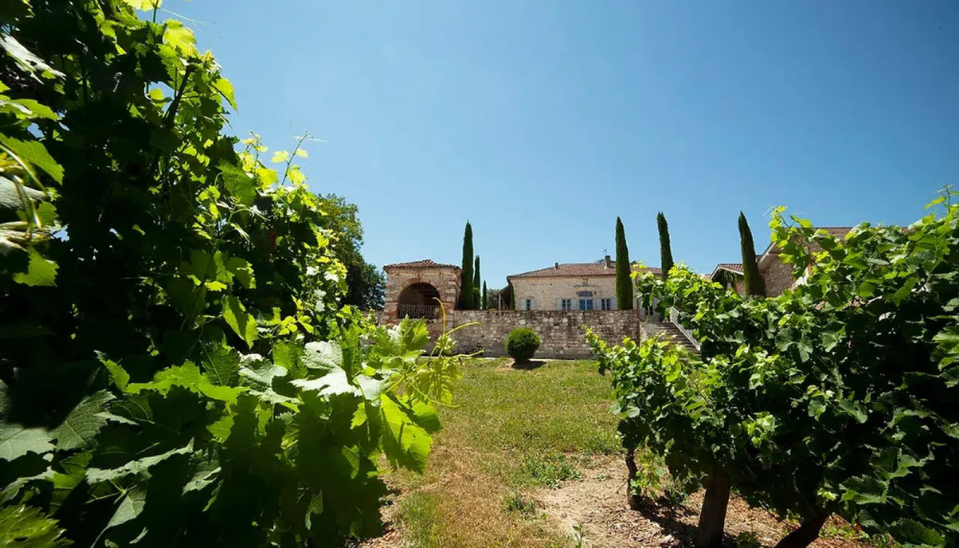 Fêter l’été dans le Lot-et-Garonne : découvrez les événements du domaine viticole Labastide Orliac !